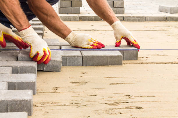 Best Custom Driveway Pavers  in Muleshoe, TX
