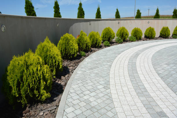 Best Concrete Paver Driveway  in Muleshoe, TX