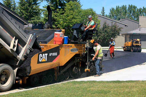 Best Custom Driveway Pavers  in Muleshoe, TX